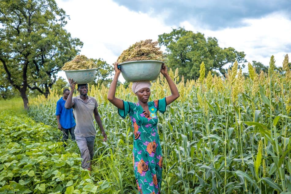 2025 09 03 Harnessing water to drive Africa's agrifood transformation CAADP 2
