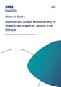 Institutional gender mainstreaming in small-scale irrigation: lessons from Ethiopia (12/13/2023) 