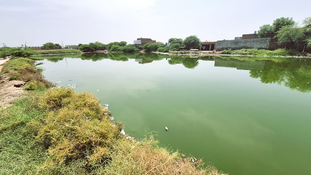 Wastewater pond Pakistan