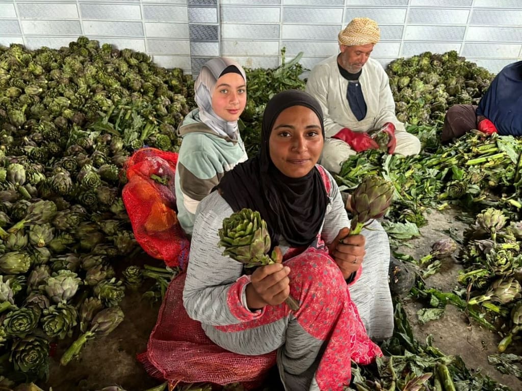 Izbat Al Hamra, Photo: IWMI