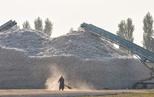 A mountain of harvested cotton in Uzbekistan