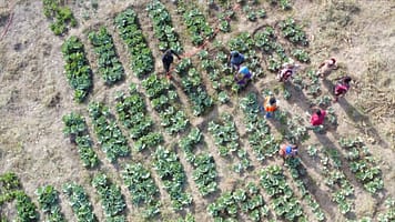 IRRILINE video screenshot: are my fields suitable for irrigation?