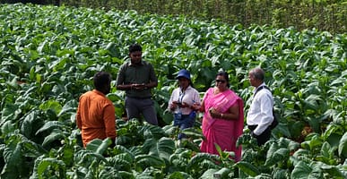 Anchanadevi, Deputy Provincial Director of Agriculture, Jegadeeshan, Somasundaran Shanmuganathan and IWMI researcher Dilmi Sithara Gamage conduct a farmer survey in Jaffna, Sri Lanka. Photo: IWMI