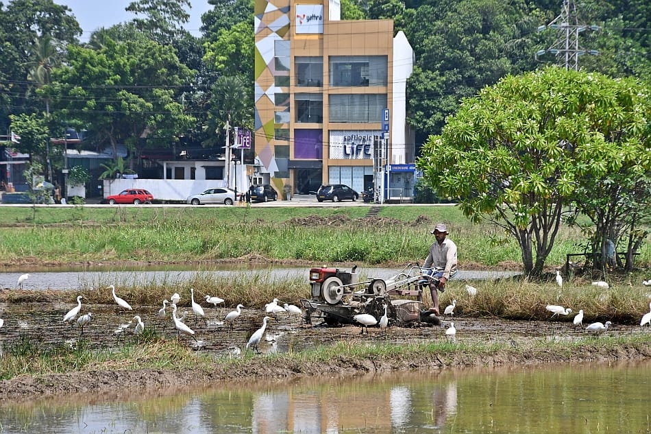 Photo: Samurdhi Ranasinghe / IWMI