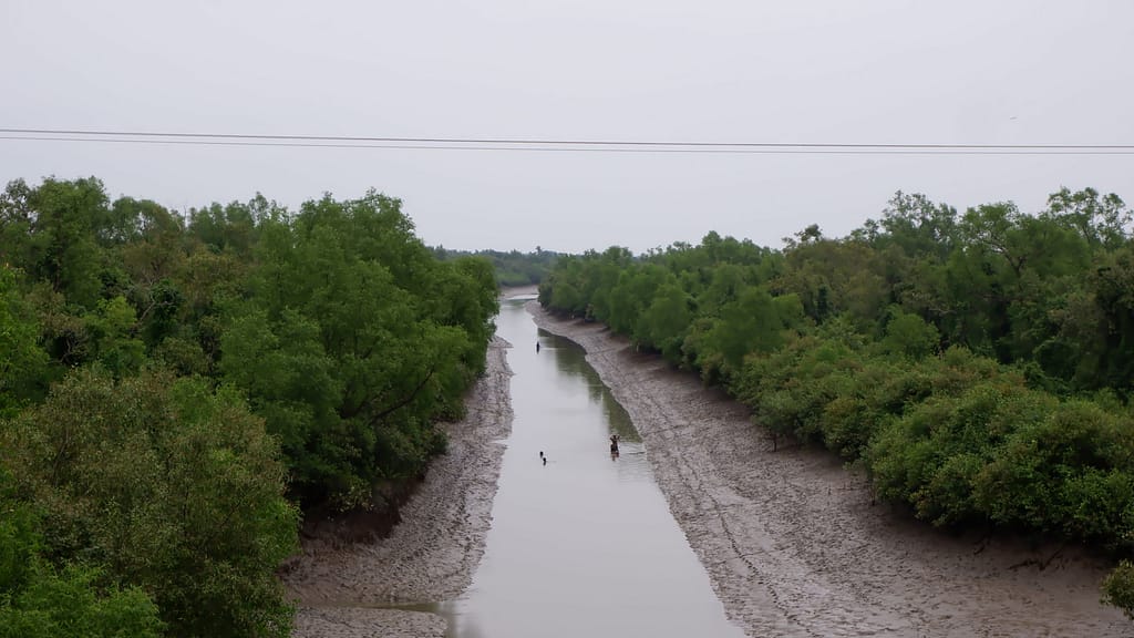 Photo: Ankana Das / IWMI