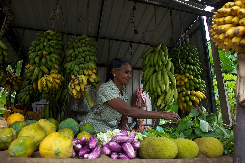 Selling fresh vegetables in a market
Photo credit: Hamish John Appleby / IWMI