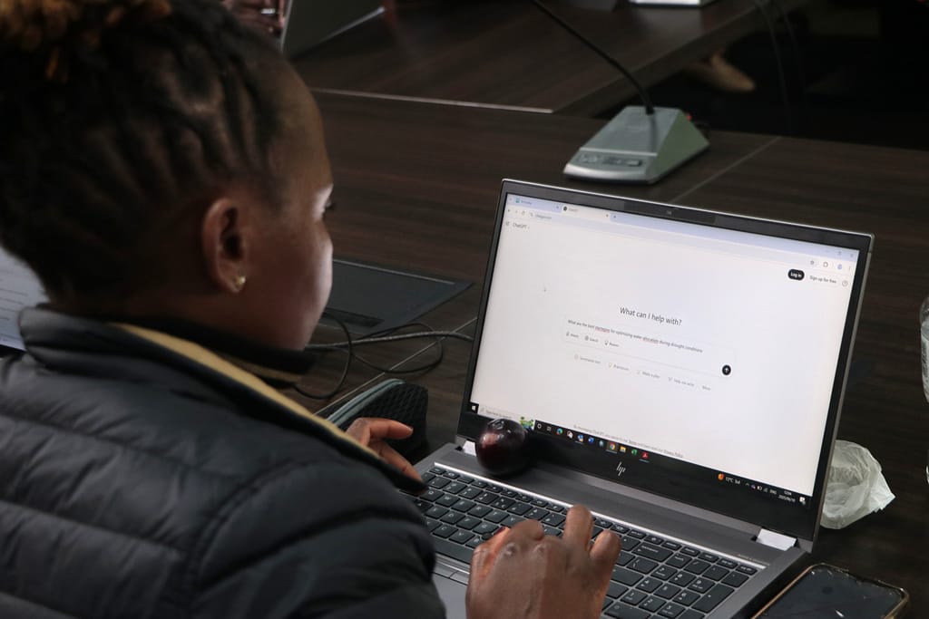 Participant experiments with using AI tools to speed up water management tasks. Photo: IWMI