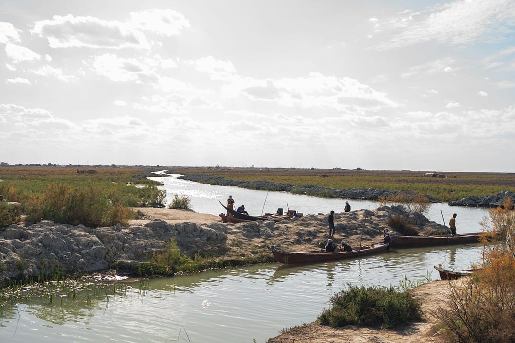 Photos of the Mesopotamian Marshlands. Photo: حسن/ Unsplash