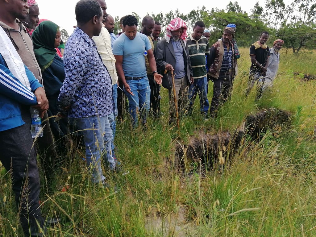 Farmers take part in a field demonstration in Ethiopia. Photo: Wolde Mekuria / IWMI