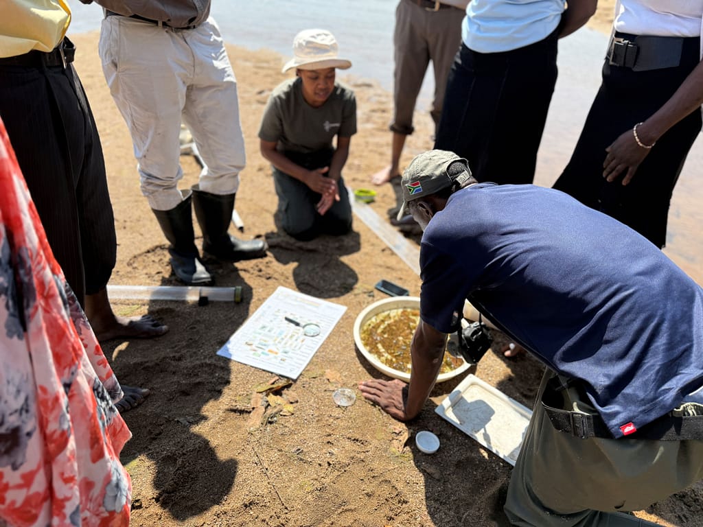 Attendees participate in a citizen science water quality training. at a citizen science training. Photo: Nkateko Langa/ IWMI