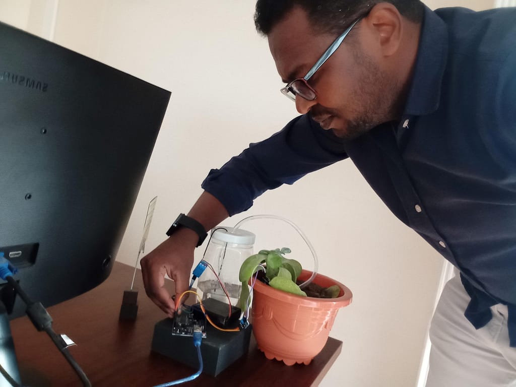 Muhammad Khalifa’s tiny desk plant