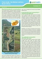 Case study: Ga-Mamapa wetland, South Africa