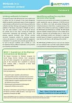 Wetlands in a catchment context