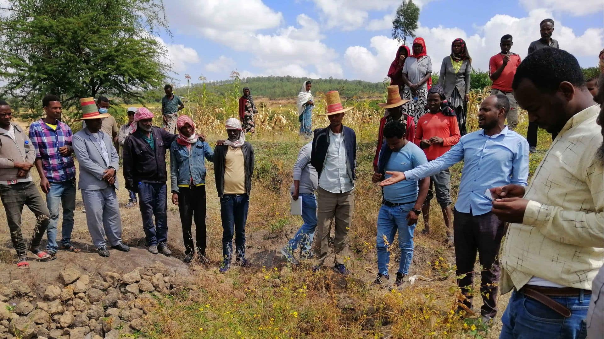 Farmers take part in a field demonstration in Ethiopia (Credit: Wolde Mekuria Bori / IWMI)