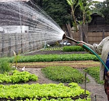 From the Director General: Better water, better jobs