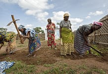 Building refugee resilience in East Africa through reusing resources UN Women Humanitarian Work with Refugees in Cameroon