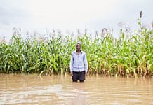 IWMI supporting Zambian government with post-flood recovery strategy assistance A maize farmer affected by flooding in Southern Province, Zambia. Photo: CGIAR Climate Resilience initiative.