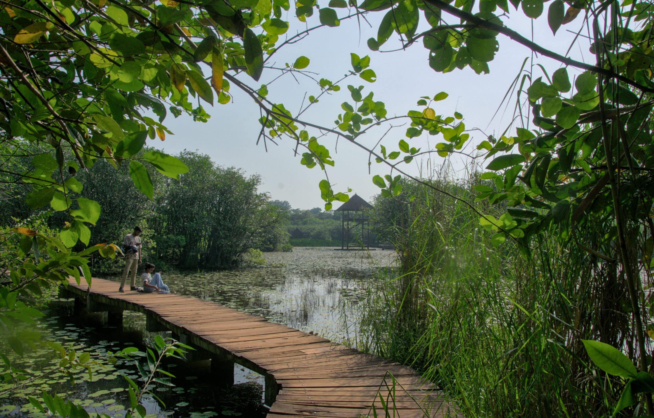 A couple enjoying the boardwalk in Beddagana Wetland Park. Laura Keil / IWMI.