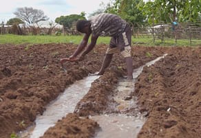 IRRILINE video screenshot: Making a good choice of irrigation equipment