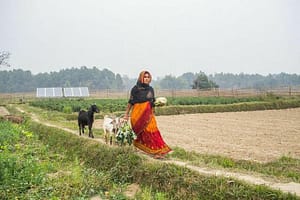 Nexus: Empowering female farmers through improved access to water technologies
