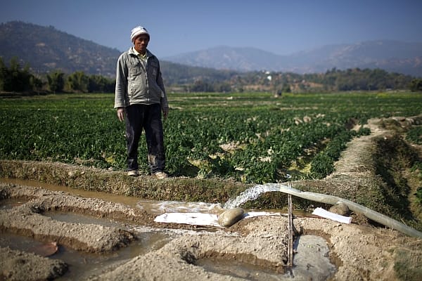 Photo credit: Tom van Cakenberghe