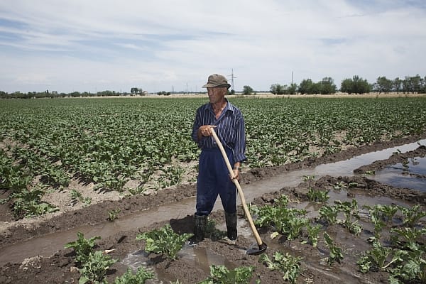 Farmers in Krygystan depend on state water resource cooperation to irrigate their farms