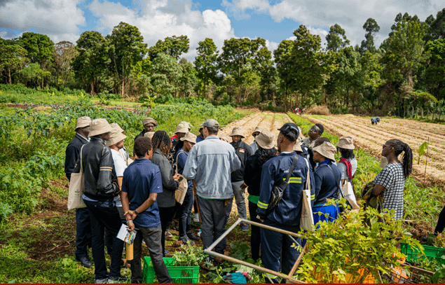 Participants visit Forest Foods Limuru in Kenya. Photo: Agritech4Kenya