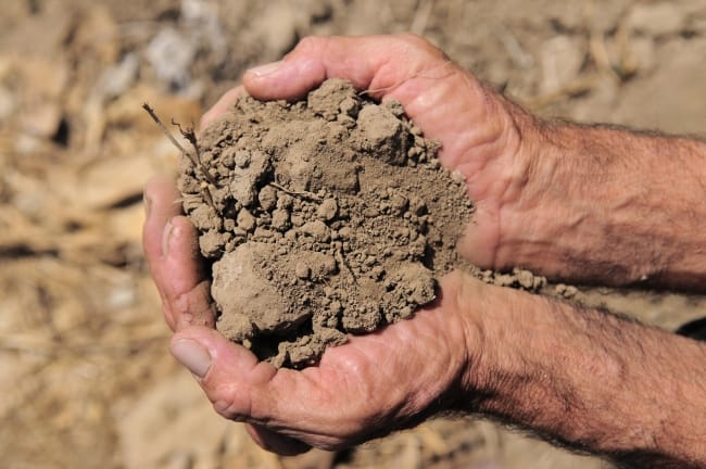 Photo: Neil Palmer / CIAT