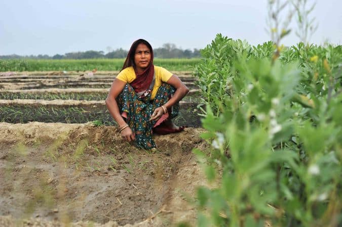 More food, fewer floods More food, fewer floods