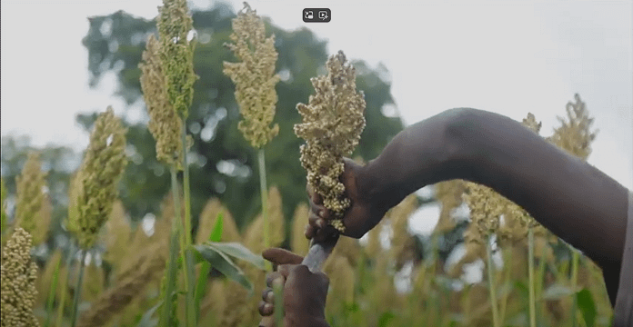 Climate change impact on livelihoods in Ghana