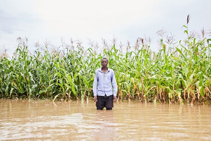 A maize farmer affected by flooding in Southern Province, Zambia. Photo: CGIAR Climate Resilience initiative.