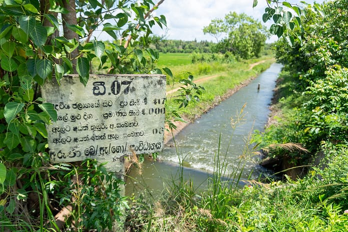 Field visit to the Padaviya Reservoir in Anuradhapura, Sri Lanka. Photo: Pradeep Liyanage / IWMI