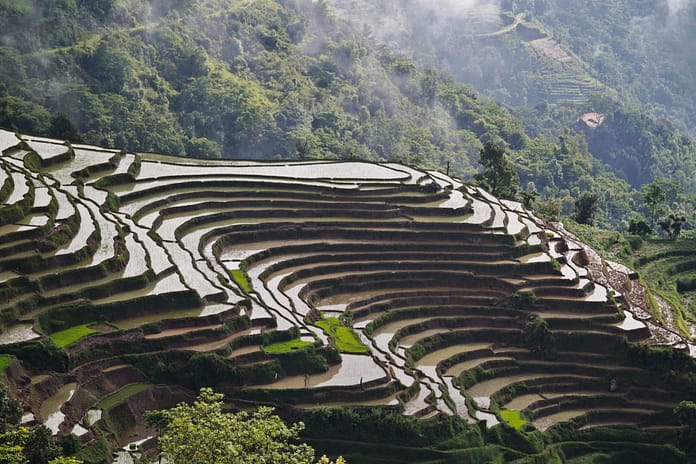 Irrigated fields in the hills of Sindhupalchowk Nepal. Credit: Aayush Niroula/IWMI