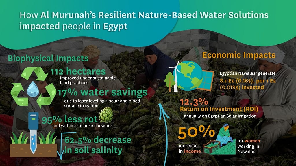 Figure 1: Key biophysical and economic impacts of Al Murunah’s Egypt pilot in Izbat Al Hamra.  

*Nawalas are women-led artichoke processing facilities.  

Source: Elizabeth Stifel. 