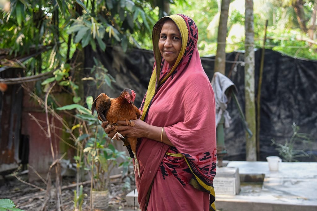 A farmer poses with her only remaining livestock in Goalia village, Bakerganj upazila, Barishal, on June 4, 2024, after Cyclone Remal struck her village in May. She lost two cows in the cyclone, and the shelter for her livestock was also severely damaged Photo: Tanmoy Bhaduri/IWMI