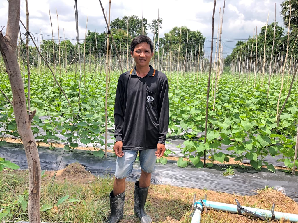Lao Farmer WUG