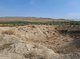 Central Asia moves together toward drought readiness