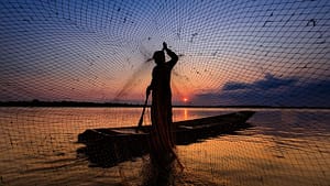 A fisherman casts his net. El Niño can bring drought and erratic rainfall that disrupt fisheries and the communities that depend on them. Photo: Chanwity Man/Pixabay