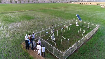 A stethoscope for the land