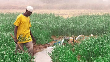 A smallholder irrigates his wheat fields in Kano State, Nigeria - farmer-led irrigation in practice. Photo: Sander Zwart/IWMI