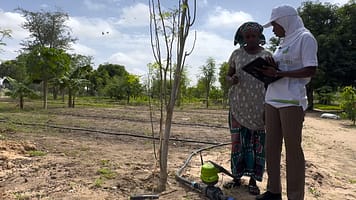 A farmer examining an AI-enabled irrigation application on a tablet. Powered by an off-grid solar energy system, the technology helps farmers optimize water and energy use. Photo: Ferdinand Tornyie/UPSA