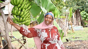Smallholder farmer Amele Abiyu from Misrak Meskan district, Central Region in Ethiopia, uses a solar pump to feed her family and the surplus for the market. Photo: Elizabeth Wamba/IWMI