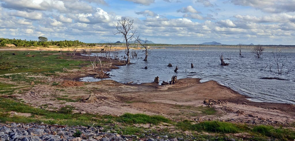 Deduru oya reservoir in Sri Lanka affected by severe drought in 2017. Photo: Samurdhi Ranasinghe / IWMI.