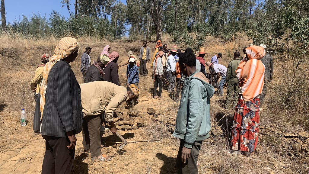 Farmers engaged in the maintenance of soil and water conservation measures in Halaba, Ethiopia. Photo: Rediet Girma 