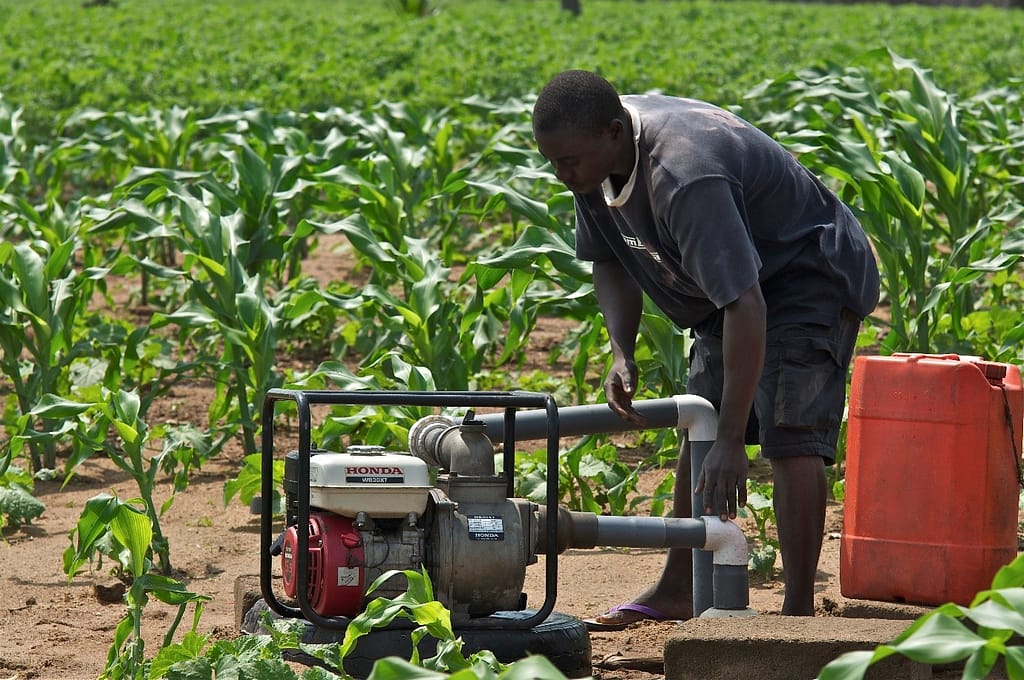 A youth installing a water pump. Photo: Joe Ronzio / IWMI 