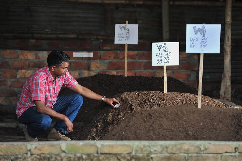 Windrow composting. Photo: Neil Palmer/IWMI 