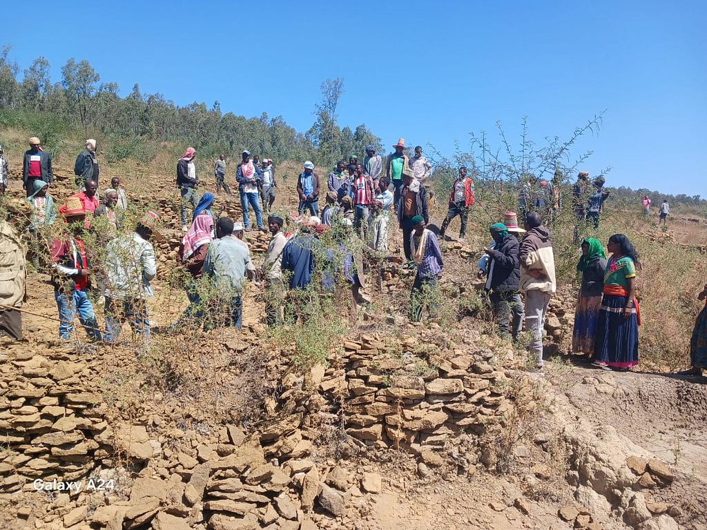 Farmers visiting soil and water conservation practices in Halaba, Ethiopia. Photo: 
