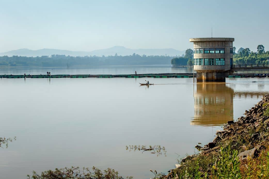 Human health impacts of dams and reservoirs: neglected issues in a One Health perspective