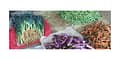 Multi stakeholder sharing forum: Linking organic waste and agriculture in a circular economy