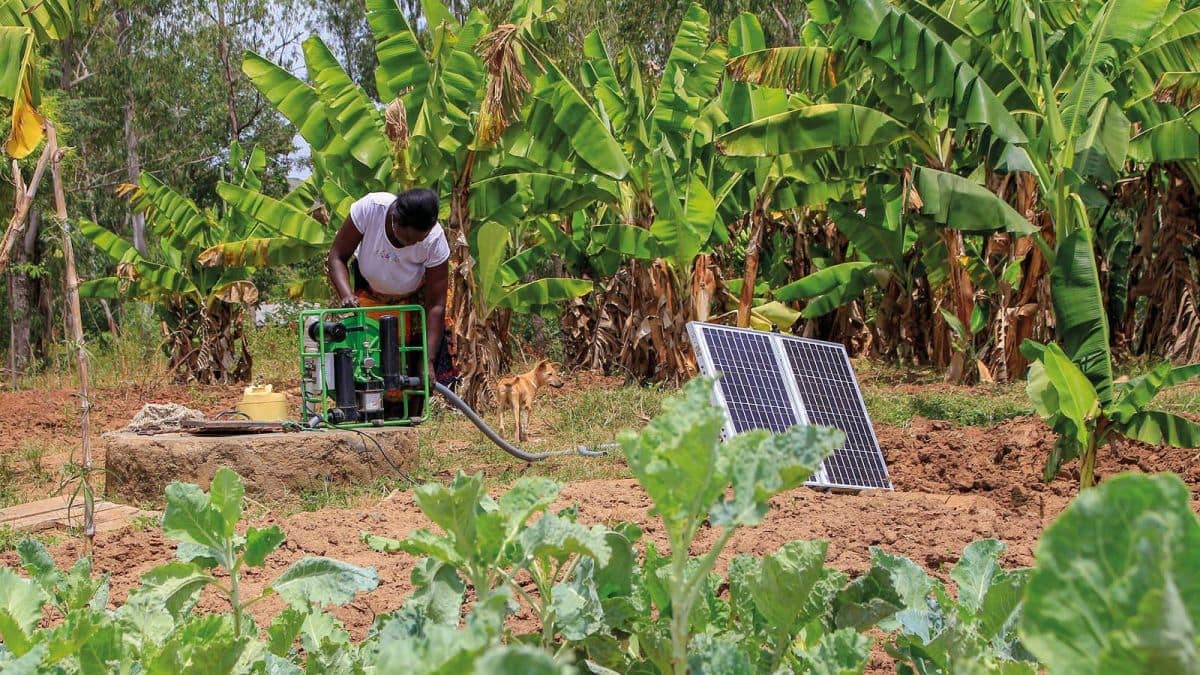 Photo: Futurepump